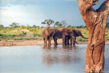 Zimbabwe tourist attractions, victoria falls tourist attractions, hwange national park tourist attractions,