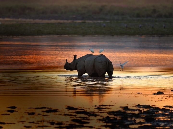 KAziranga guwahati