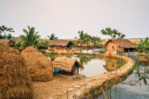 Sunderbans villages