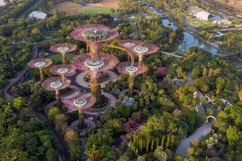 gardens by the bay