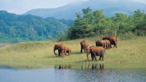 periyar national park